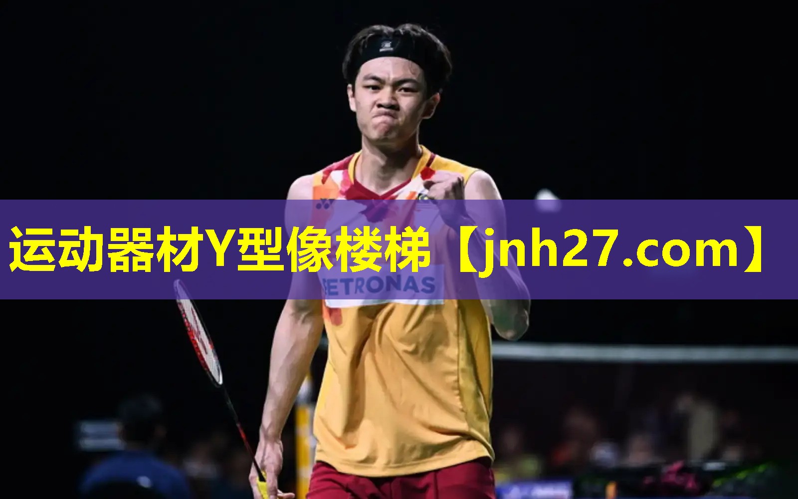 运动器材Y型像楼梯