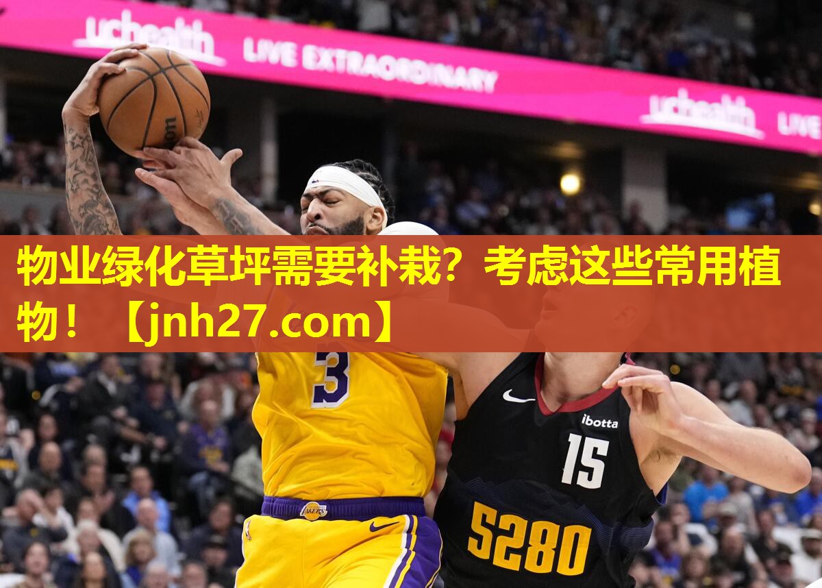 物业绿化草坪需要补栽？考虑这些常用植物！
