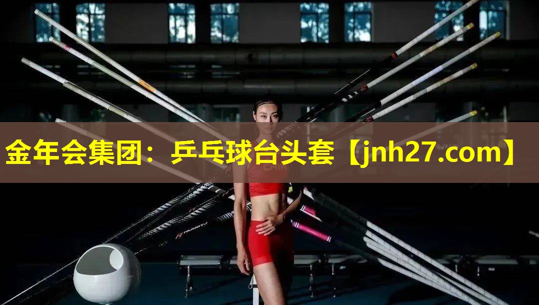 乒乓球台头套